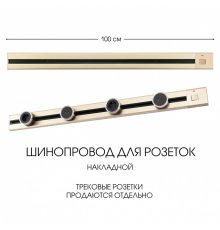 Накладной шинопровод с выключателем Arte Milano Am-track-sockets 385201TOB/100 Gold