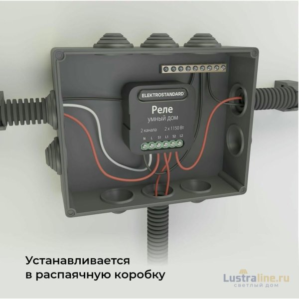 Умное двухканальное реле Elektrostandard 4690389185083 a059326 Умное двухканальное реле Elektrostandard 4690389185083 a059326