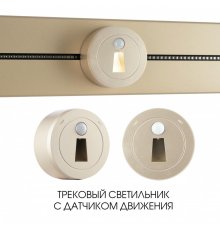 Трековая подсветка Arte Milano Am-track-sockets 397953TLS/LWS Gold