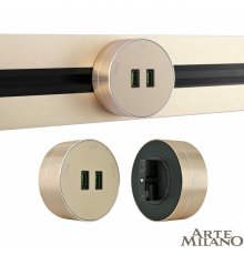 Трековая розетка Arte Milano Am-track-sockets 380011TS/USBx2 Gold