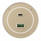 Трековая розетка Arte Milano Am-track-sockets-39 399732TS/USB-Type-C Gold