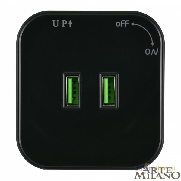 Трековая розетка Arte Milano Am-track-sockets 380022TS/USBx2 Black
