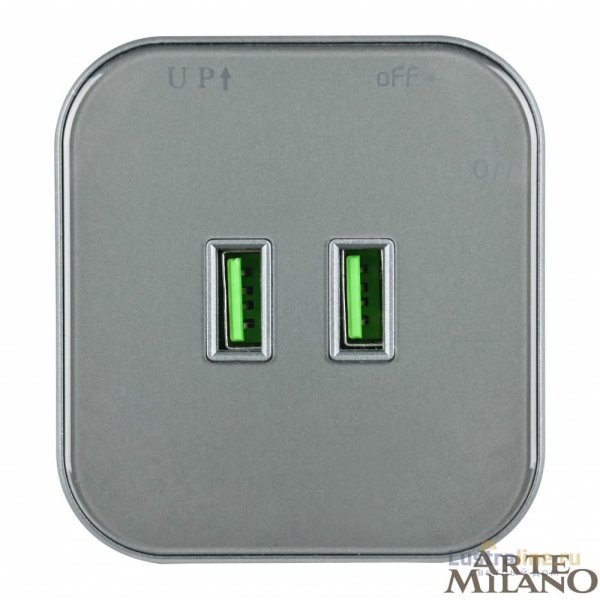 Трековая розетка Arte Milano Am-track-sockets 380022TS/USBx2 Grey