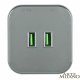 Трековая розетка Arte Milano Am-track-sockets 380022TS/USBx2 Grey