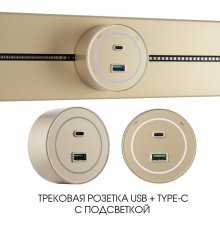 Трековая розетка Arte Milano Am-track-sockets-39 399732TS/USB-Type-C Gold