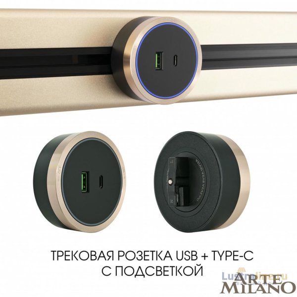 Трековая розетка Arte Milano Am-track-sockets 380066TS LED/USB-Type-C Gold