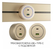 Трековая розетка Arte Milano Am-track-sockets-39 399731TS/USB-Type-C Gold