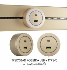 Трековая розетка Arte Milano Am-track-sockets-39 399731TS/USB-Type-C Gold