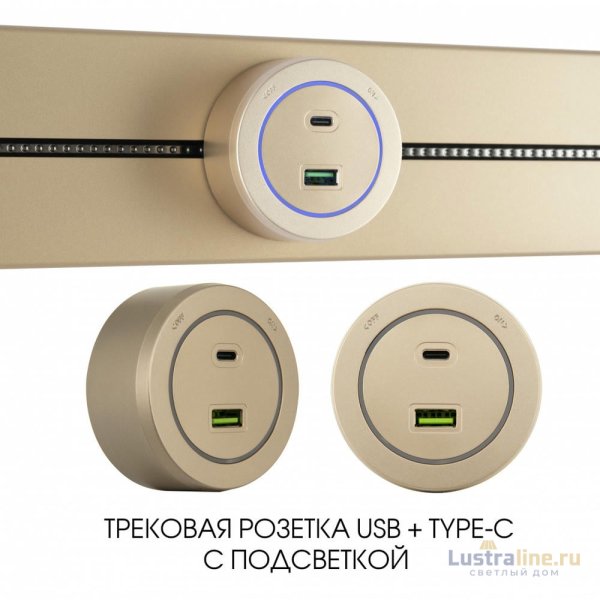 Трековая розетка Arte Milano Am-track-sockets-39 399731TS/USB-Type-C Gold