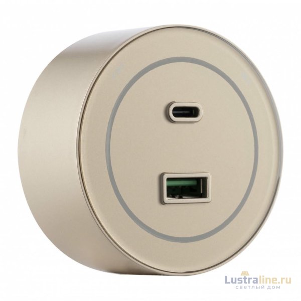 Трековая розетка Arte Milano Am-track-sockets-39 399732TS/USB-Type-C Gold