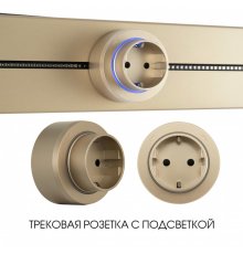 Трековая розетка Arte Milano Am-track-sockets-39 397951TS/ES Gold