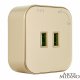 Трековая розетка Arte Milano Am-track-sockets 380022TS/USBx2 Gold