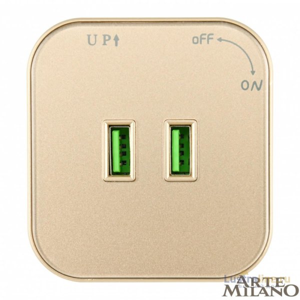 Трековая розетка Arte Milano Am-track-sockets 380022TS/USBx2 Gold
