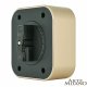 Трековая розетка Arte Milano Am-track-sockets 380022TS/USBx2 Gold
