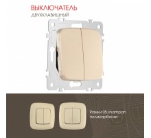 Выключатель двухклавишный Arte Milano 205.30-2.shampan