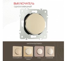 Выключатель одноклавишный Arte Milano 202.30-1.shampan