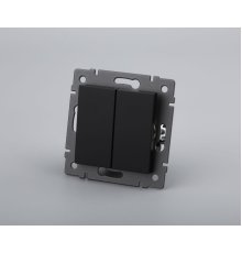 Механизм выключателя двухклавишный проходной Arlight SWT-MKP2-PL-BK-V (250V, 10A) 049893