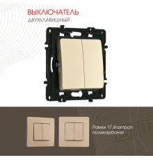 Выключатель двухклавишный Arte Milano 217.30-2.shampan