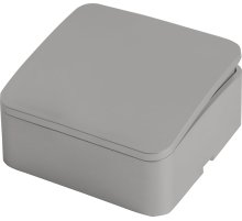 Выключатель двухклавишный Stekker София MSW10-10-03 49295 Выключатель двухклавишный Stekker София MSW10-10-03 49295