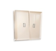 Лицевая панель для выключателя двухклавишного с подсветкой Ambrella Volt Alfa AP3040