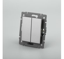 Механизм выключателя двухклавишный непроходной Arlight SWT-MK02-PL-GR-V (250V, 10A) 049889