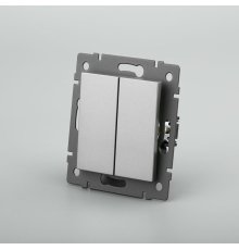 Механизм выключателя двухклавишный непроходной Arlight SWT-MK02-PL-GR-V (250V, 10A) 049889