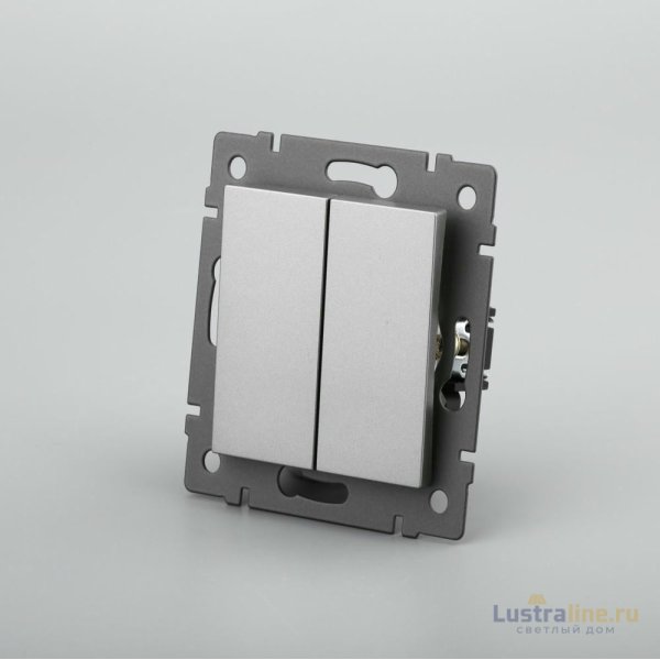 Механизм выключателя двухклавишный непроходной Arlight SWT-MK02-PL-GR-V (250V, 10A) 049889 Механизм выключателя двухклавишный непроходной Arlight SWT-MK02-PL-GR-V (250V, 10A) 049889
