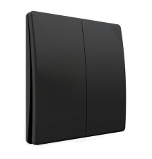 Выключатель беспроводной двухклавишный Feron TM92 51027