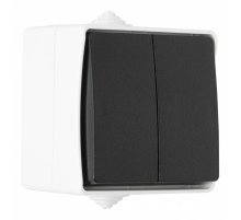 Выключатель двухклавишный проходной Arte Milano 309.32-2.grey