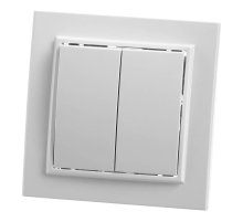 Выключатель двухклавишный Feron Stekker Эрна PSW10900401 39044 Выключатель двухклавишный Feron Stekker Эрна PSW10900401 39044