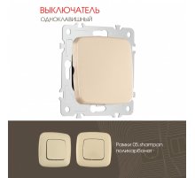 Выключатель одноклавишный Arte Milano 205.30-1.shampan