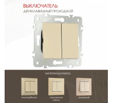 Выключатель двухклавишный проходной Arte Milano 203.32-2.shampan