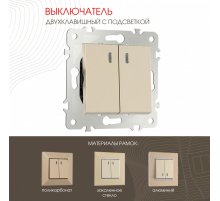 Выключатель двухклавишный с подсветкой Arte Milano 203.31-2.shampan