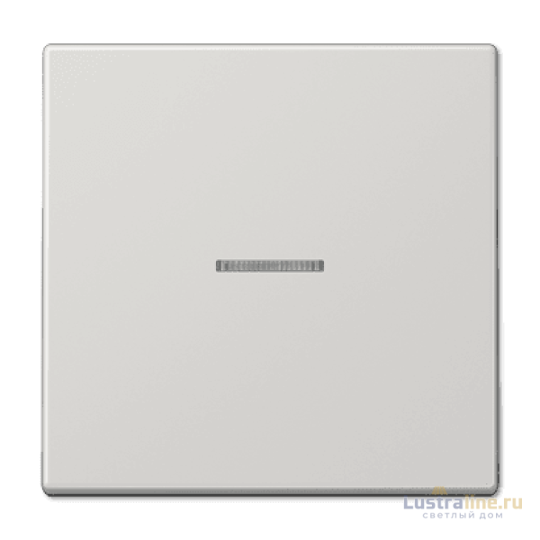 Клавиша 1-ная с линзой Jung LS990 LS990KO5LG