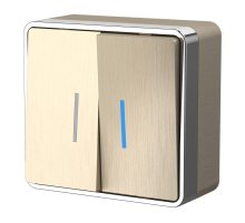 Выключатель двухклавишный с подсветкой Werkel Gallant шампань рифленый W5020110 4690389164200