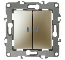 Выключатель двойной с подсветкой Эра 12-1105-04 Б0014660