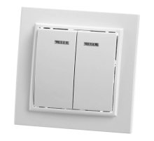 Выключатель двухклавишный Feron Stekker Эрна с подсветкой PSW10900201 39042