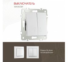 Выключатель жалюзи Arte Milano 206.38-2.silver