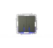 Выключатель двухклавишный с подсветкой ELBI Zena Vega 609-011100-203