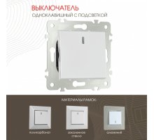 Выключатель одноклавишный с подсветкой Arte Milano 203.31-1.silver