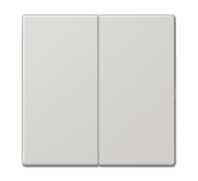 Клавиша 2-ная Jung LS990 LS995LG