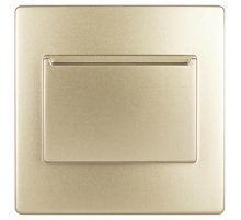 Накладка на карточный выключатель Эра 12-6201-04 Б0043203