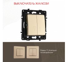 Выключатель жалюзи Arte Milano 217.38-2.shampan