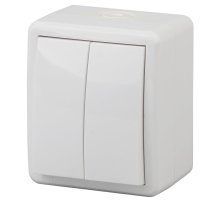 Выключатель двухклавишный ЭРА Эксперт 10AX 250V IP54 11-1404-01 Б0020675