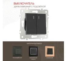Выключатель двухклавишный с подсветкой Arte Milano 203.31-2.black