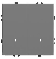 Выключатель 2-клавишный c индикатором Stekker Эмили RSW10-5102-10 49942