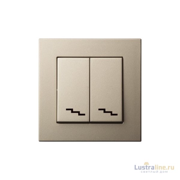 Переключатель двухклавишный Liregus Epsilon 28-304