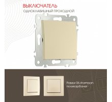 Выключатель одноклавишный проходной Arte Milano 206.32-1.shampan