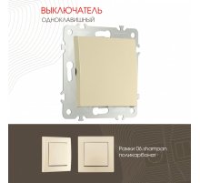 Выключатель одноклавишный Arte Milano 206.30-1.shampan Выключатель одноклавишный Arte Milano 206.30-1.shampan