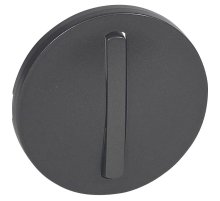 Лицевая панель Legrand Celiane выключателя одноклавишного графит 065201